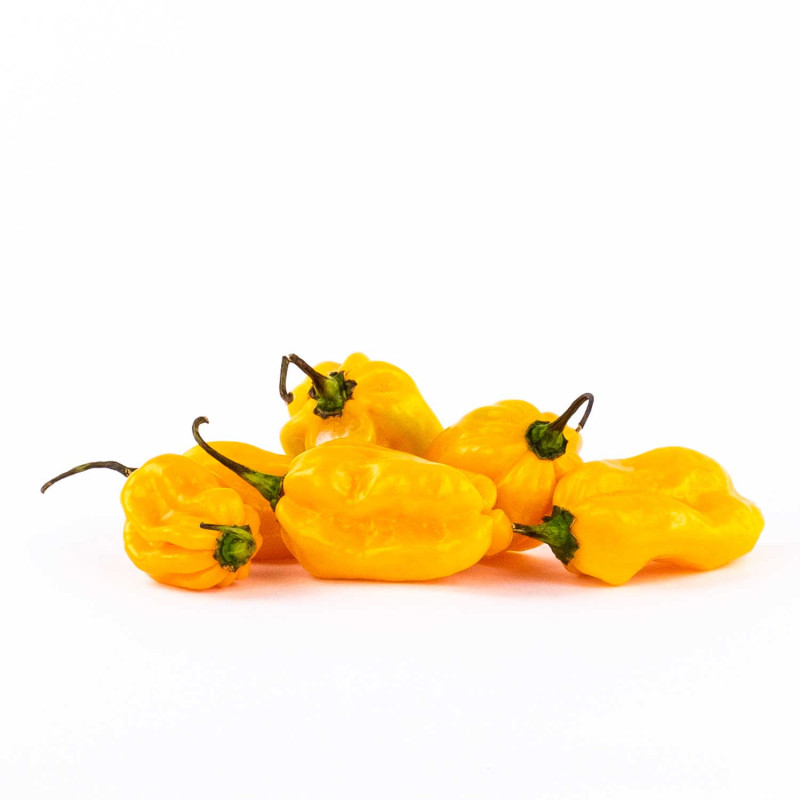 PIMENT HABANERO JAUNE 2KG